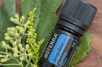 doTERRA Deep Blue Essential Oil Soothing Blend - 5 ml