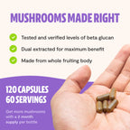 FreshCap Lions Mane Supplement Capsules - Ayurveda Premium USDA Organic Dual Extracted Mushrooms - Third Party Tested - Whole Fr
