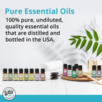Wild Essentials Anise Star 100% Pure Essential Oil 2 Pack - 10ml, Therapeutic Grade, Made and Bottled in The USA