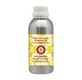 Deve Herbes Pure Citronella Essential Oil (Cymbopogon nardus) Steam Distilled 630ml (21 oz)