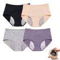 IDCWZL Leakproof Panties for Women Over 60 Leak Proof Ladies Underwear with Incontinence Comfortable(4pc-b,2XL)