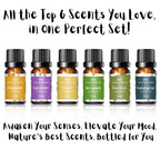 Essential Oils for Laundry | 100% Pure Therapeutic Grade Aromatherapy Essential Oil Set - Top 6 | Dryer Balls, Diffusers, Soaps,
