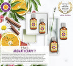Deve Herbes Pure Sweet Wormwood Essential Oil (Artemisia annua) Steam Distilled 630ml (21 oz)