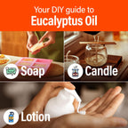 Hana Eucalyptus Essential Oil (1 Fl Oz) Eucalyptus Oil for Diffuser, Skin, Humidifier, Sinus, and Hair - with an Invigorating S