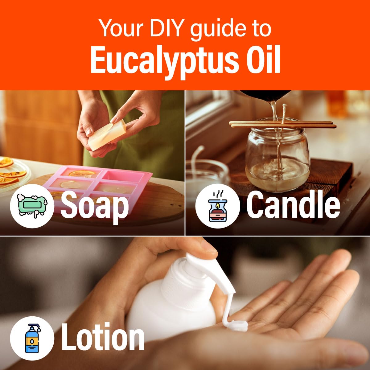 Hana Eucalyptus Essential Oil (1 Fl Oz) Eucalyptus Oil for Diffuser, Skin, Humidifier, Sinus, and Hair - with an Invigorating S