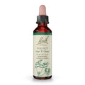 Bach Original Flower Remedies, Walnut for Adapting to Change, Natural Homeopathic Flower Essence, Holistic Wellness and Stress R