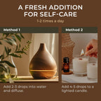 Gya Labs Ravensara Essential Oil Diffuser - Ravensara Essential Oil for Skin - Ravensara Oil for Hair Aromatherapy Candles Makin