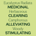 Plant Therapy Eucalyptus Radiata Essential Oil 10 mL (1/3 oz) 100% Pure, Undiluted, Therapeutic Grade