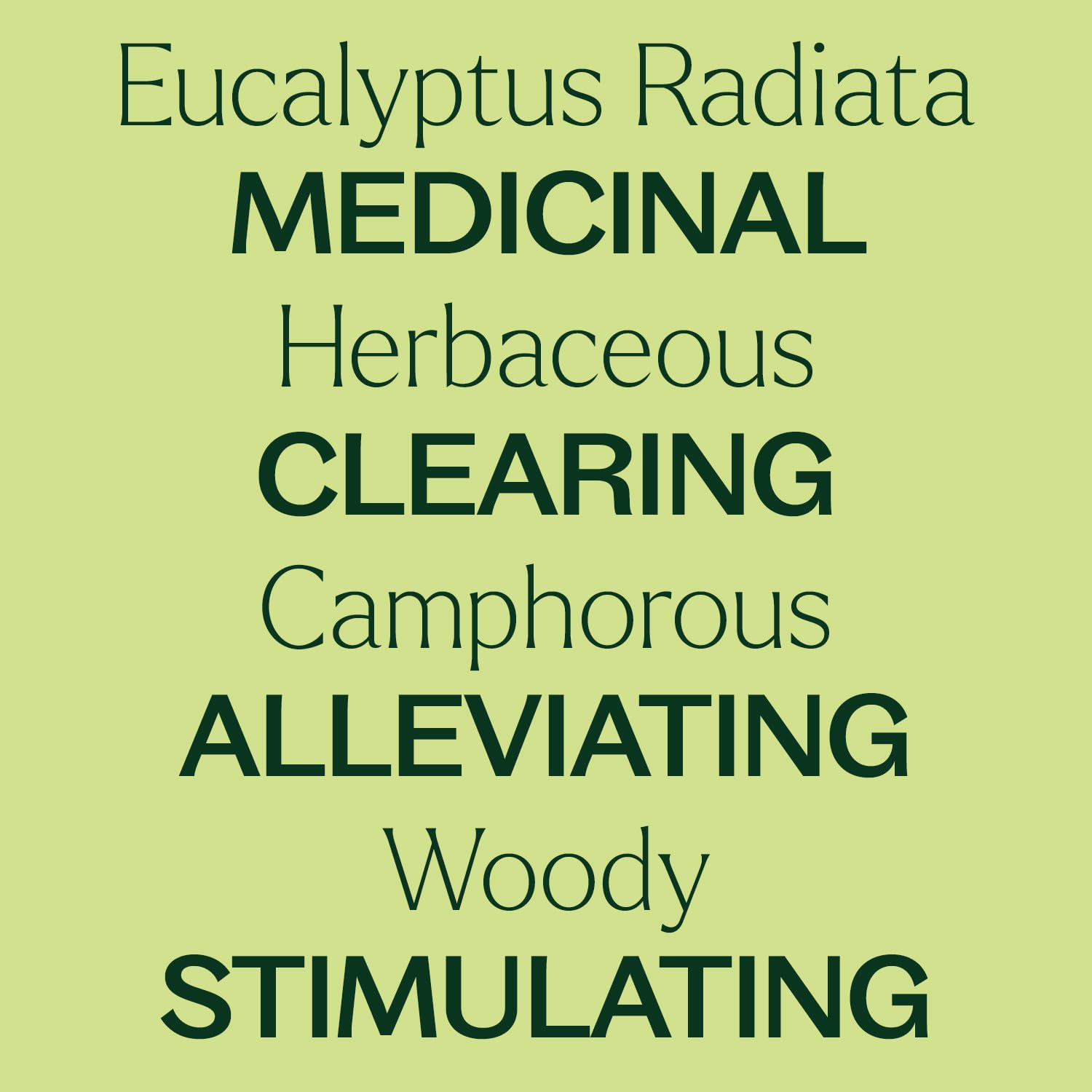 Plant Therapy Eucalyptus Radiata Essential Oil 10 mL (1/3 oz) 100% Pure, Undiluted, Therapeutic Grade