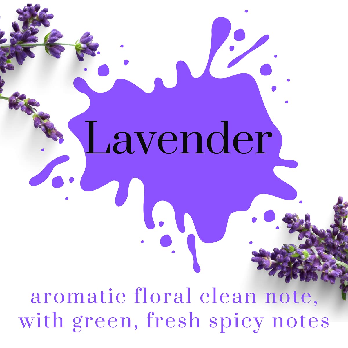 Air Jungles Lavender Scent Reed Diffuser Set with Sticks, Essential Incense Oil Air Freshener for Bathroom, Office, Gym, and Bed