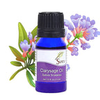 SVATV Clary Sage Essential Oil Therapeutic Grade Aromatherapy Oils Fragrance Oil for Diffuser Yoga Massage & DIY Personal Care 1