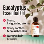 Hana Eucalyptus Essential Oil (1 Fl Oz) Eucalyptus Oil for Diffuser, Skin, Humidifier, Sinus, and Hair - with an Invigorating S