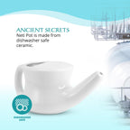Nasal Cleansing Pot 1 EA