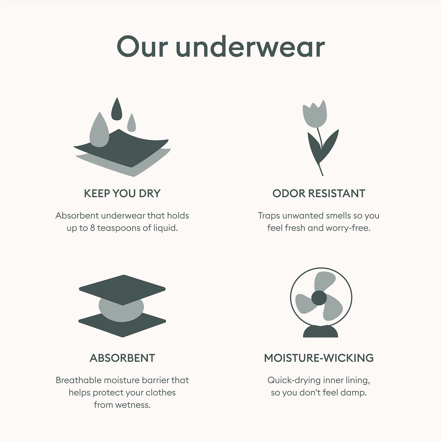 Speax by Thinx Hi-Waist Incontinence Underwear for Women, Washable Incontinence Underwear Women, Postpartum Underwear Feminine C