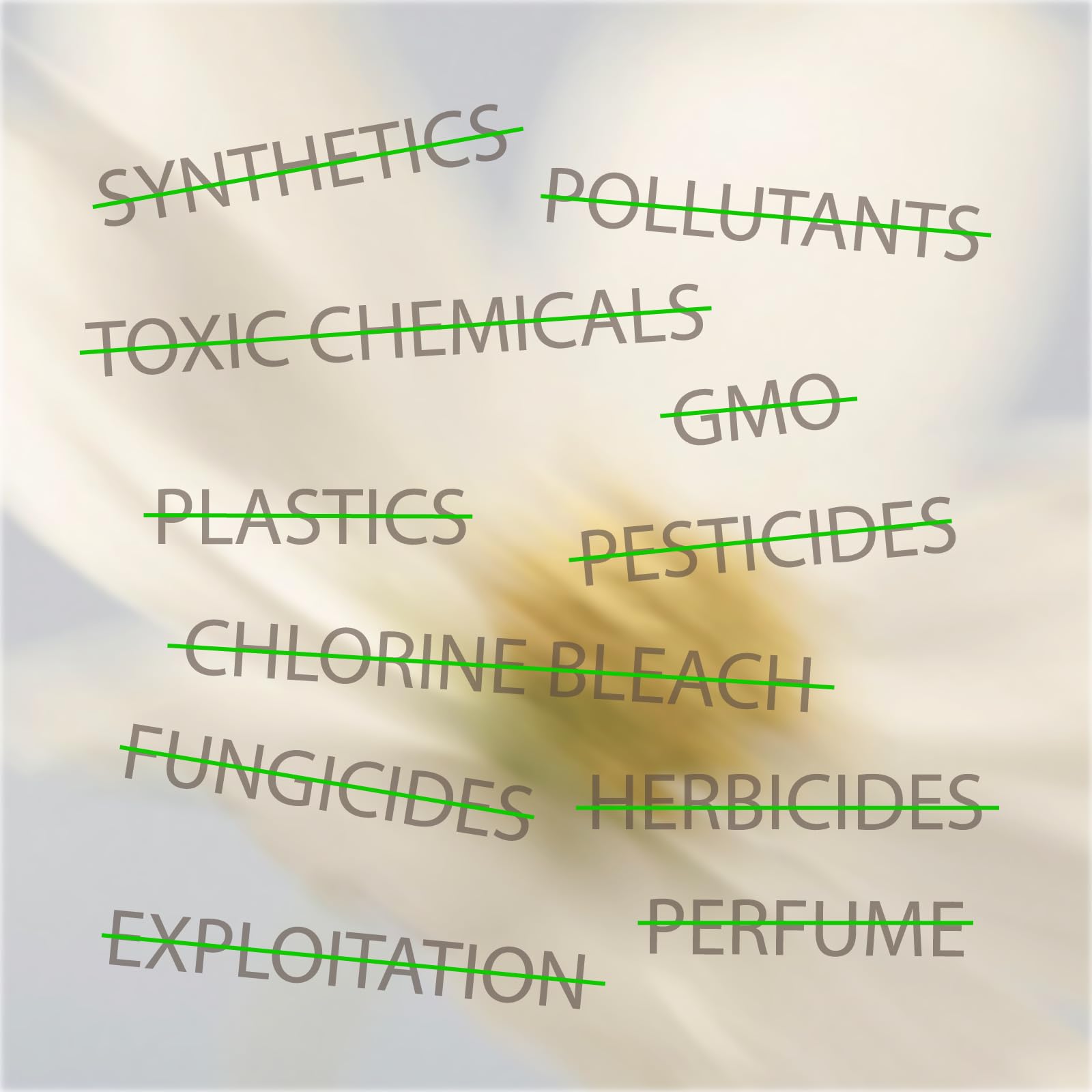 Oi | Organic Initiative - Ultra-Thin Pads with Wings | Super | 100% Certified Organic Cotton, Unscented | Leak Free, Biodegradab
