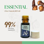 Roots & Above 10ml Pure Clove Essential Oil - 99% Natural Aroma Oil for Diffuser, Hair, Skin Care, Massage, Humidifiers, Candle