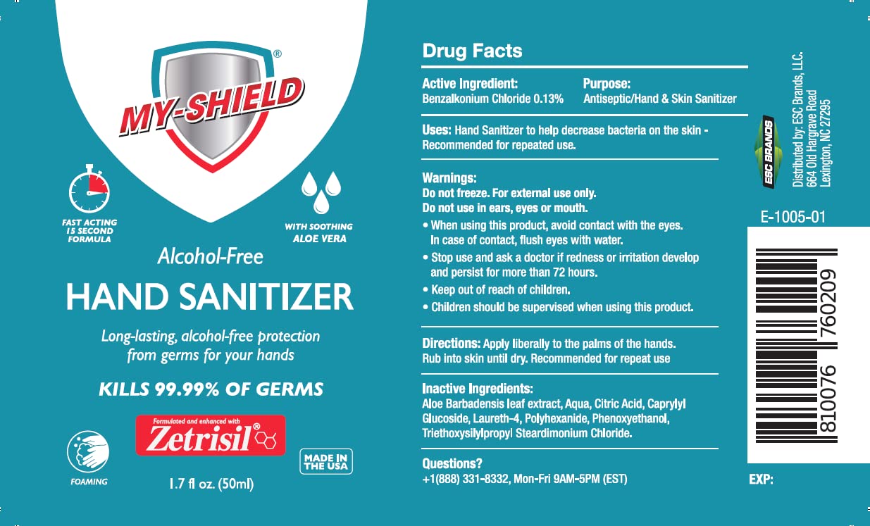 My-Shield Hand Sanitizer Foam 1.7 oz (4 pack). Long-lasting protection. Softens hands with Aloe Vera. Formulated with Zetrisil.