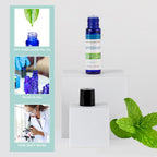 SpaRoom Aromatherapy 100% Pure Essential Oil Blends for Diffusers and Air Freshners, Refresh Peppermint, 10 mL