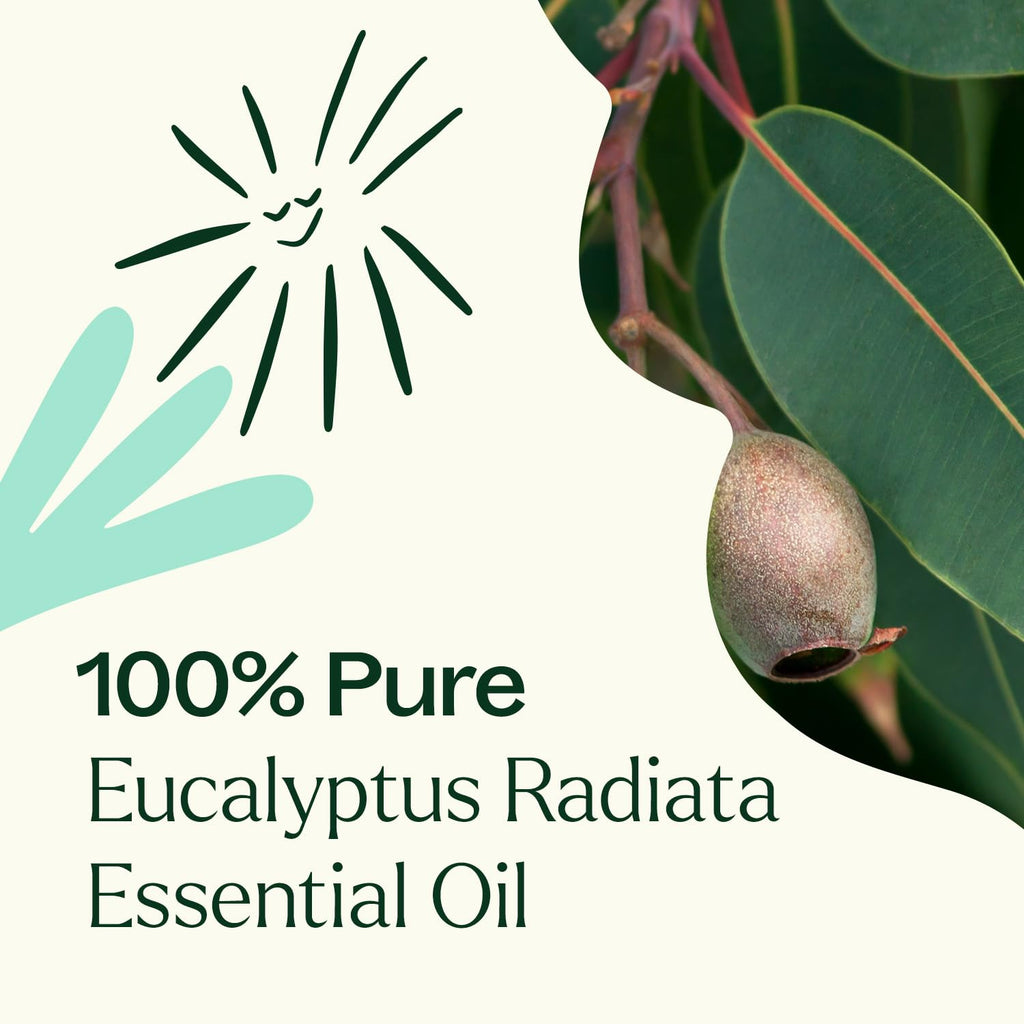 Plant Therapy Eucalyptus Radiata Essential Oil 10 mL (1/3 oz) 100% Pure, Undiluted, Therapeutic Grade