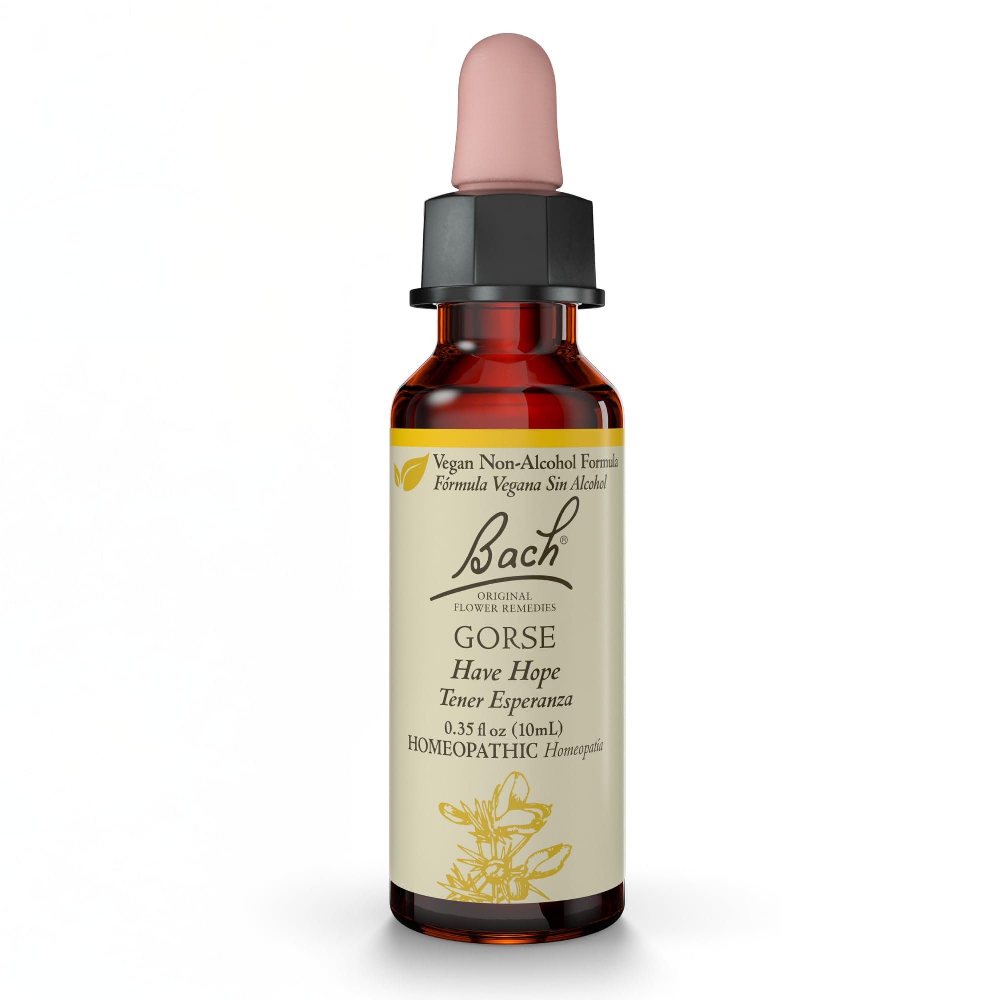 Bach Original Flower Remedies, Gorse (Non-Alcohol Formula) - Have Hope - Natural Homeopathic Flower Essence for Emotional Balanc
