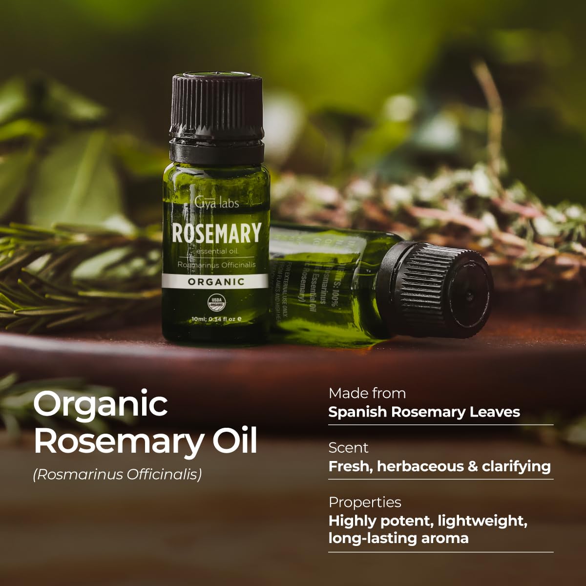 Gya Labs Organic Rosemary Essential Oil for Hair & Scalp - 100% Pure Natural Rosemary Oil Organic for Skin & Diffuser - Natural