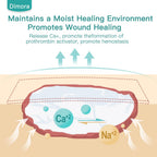 Dimora Calcium Alginate Wound Dressing, 4 x 4 Patches,10 Individual Sterile Pads, Soft and Highly Absorbent Dressing Gauze,