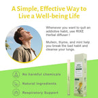 WENEW Mullein Herbal Diffuser Pen with Extracts of Mullein,Thyme and Mint for Lung Detox and Oral Air Freshening - 1 Stick