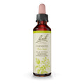 Bach Original Flower Remedies, Clematis for Focus and Concentration, Natural Homeopathic Flower Essence, Holistic Wellness and S
