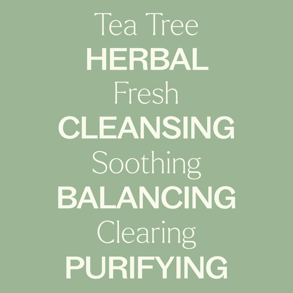 Plant Therapy Tea Tree (Melaleuca) Hydrosol 16 oz By-Product of Essential Oils