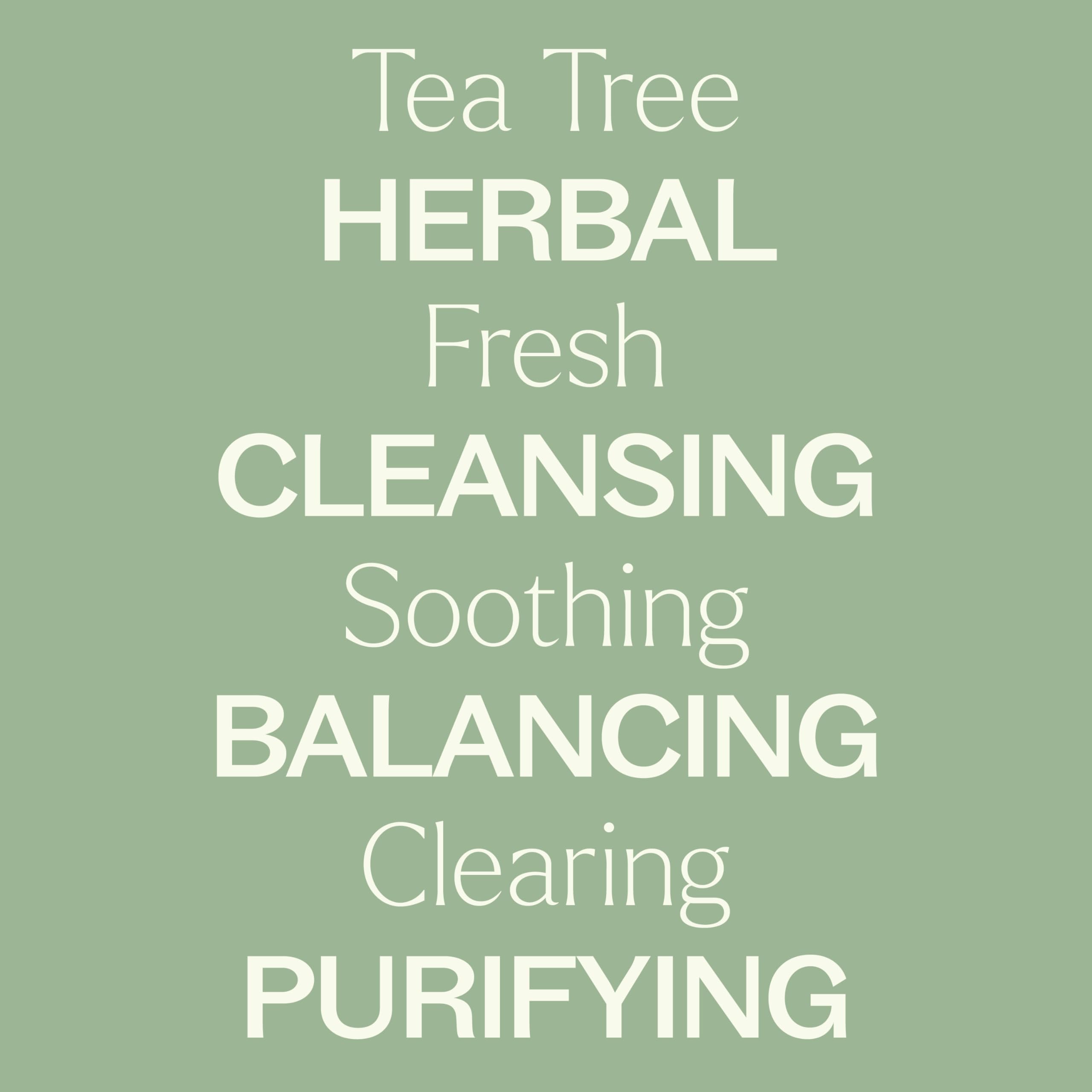 Plant Therapy Tea Tree (Melaleuca) Hydrosol 16 oz By-Product of Essential Oils