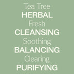 Plant Therapy Tea Tree (Melaleuca) Hydrosol 4 oz by-Product of Essential Oils