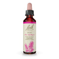 Bach Original Flower Remedies, Pine for Self Respect, Natural Homeopathic Flower Essence, Emotional Wellness and Stress Relief, 