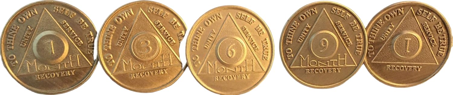 wendells 1st Year Set of 5 AA Medallions - Month 1 3 6 9 and 1 Year All Bronze Alcoholics Anonymous Sobriety Chips