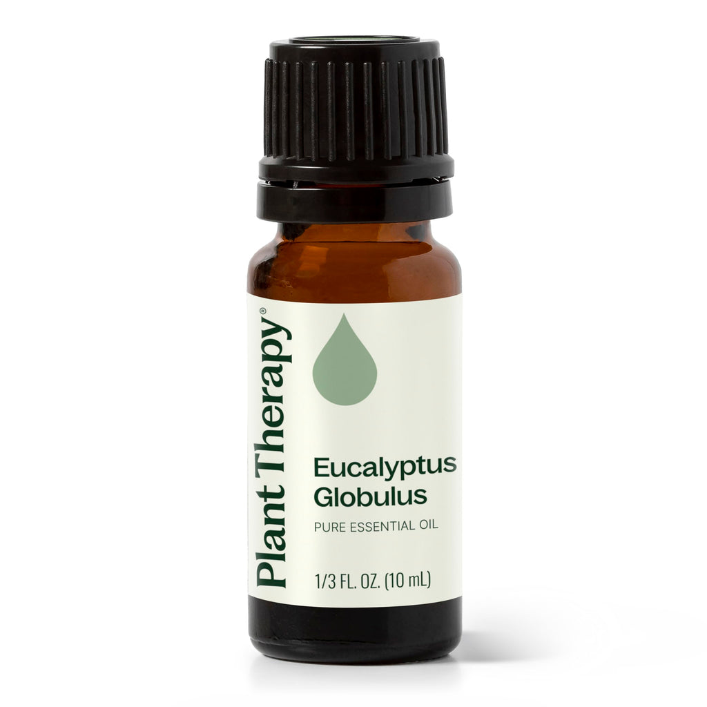 Plant Therapy Eucalyptus Globulus Essential Oil 10 mL (1/3 oz) for Diffuser, Skin, Hair, Aromatherapy DIYs, and Clear Breathing,