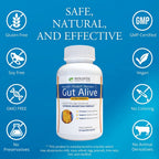 Gut Alive For Restoring Gut Lining - All Natural Support to Fight Leaky Gut, IBS, Heartburn, Acid Indigestion, Acid Reflux, Bloa