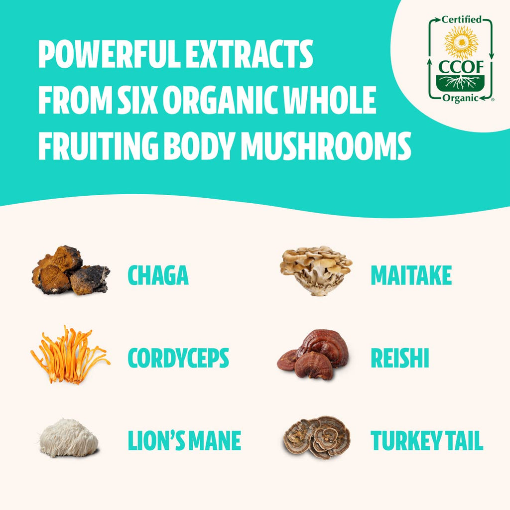 FreshCap Ultimate Mushroom Complex - Ayurveda Lions Mane, Reishi, Cordyceps, Chaga, Turkey Tail, Maitake - Immune Support & Noot