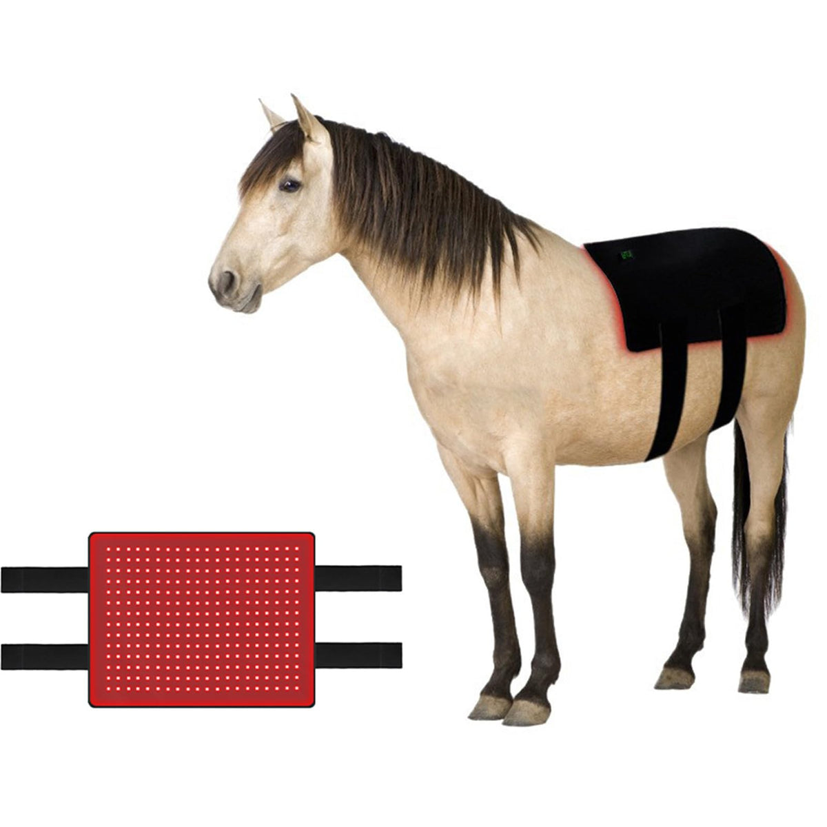 FSDLJSP Red Light Therapy for Horses Back, 660nm/850nm Wavelength Near Infrared Light Device, 15 mins Timer, Builtin Battery, f