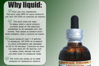 Hawaii Pharm White Pine Alcohol-Free Liquid Extract, White Pine (Pinus Strobus) Dried Bark Glycerite Natural Herbal Supplement,