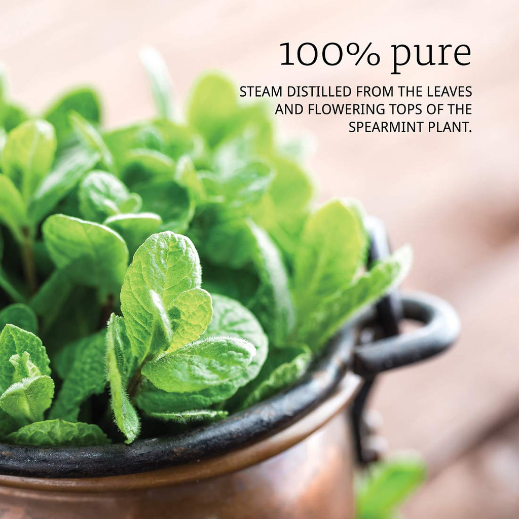 NOW Spearmint Oil, 1-Ounce (Pack Of 2)