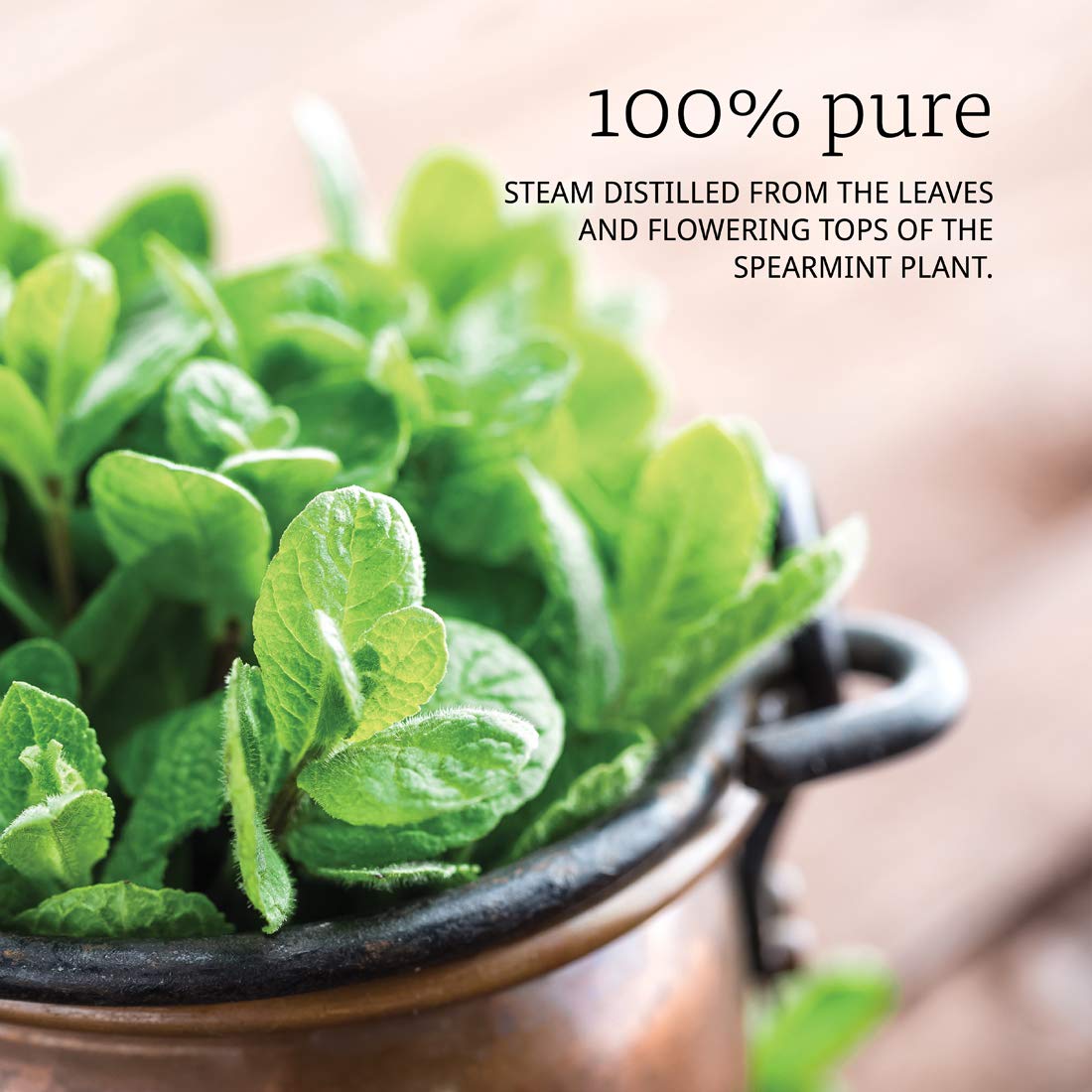 NOW Spearmint Oil, 1-Ounce (Pack Of 2)