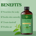 Carno Calm Tea Tree Essential Oil | USDA Certified Organic Tea Tree Oil | for Aromatherapy & Diffuser | Skin and Hair | Ideal fo