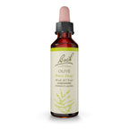 Bach Original Flower Remedies, Olive for Energy, Natural Homeopathic Flower Essence, Holistic Wellness and Stress Relief, Vegan,