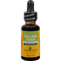 Herb Pharm Dropper Yellow Dock Extract - 1 fl oz
