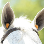 Y.J TAILS Horse Ear Plugs, Equine earplugs, Foam Ball, Block Noise, Soft and Comfortable, Reusable (Orange - 8pcs)