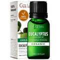 Gya Labs Organic Eucalyptus Essential Oil for Diffuser - 100% Pure Natural Eucalyptus Oil Organic for Skin, Hair, Soap Making & 