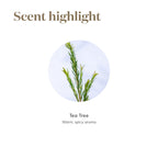 Tea Tree (Melaleuca Alternifolia) Essential Oil by Young Living - 15ml - Purify and Revitalize with Natures Essence - Healthy-l