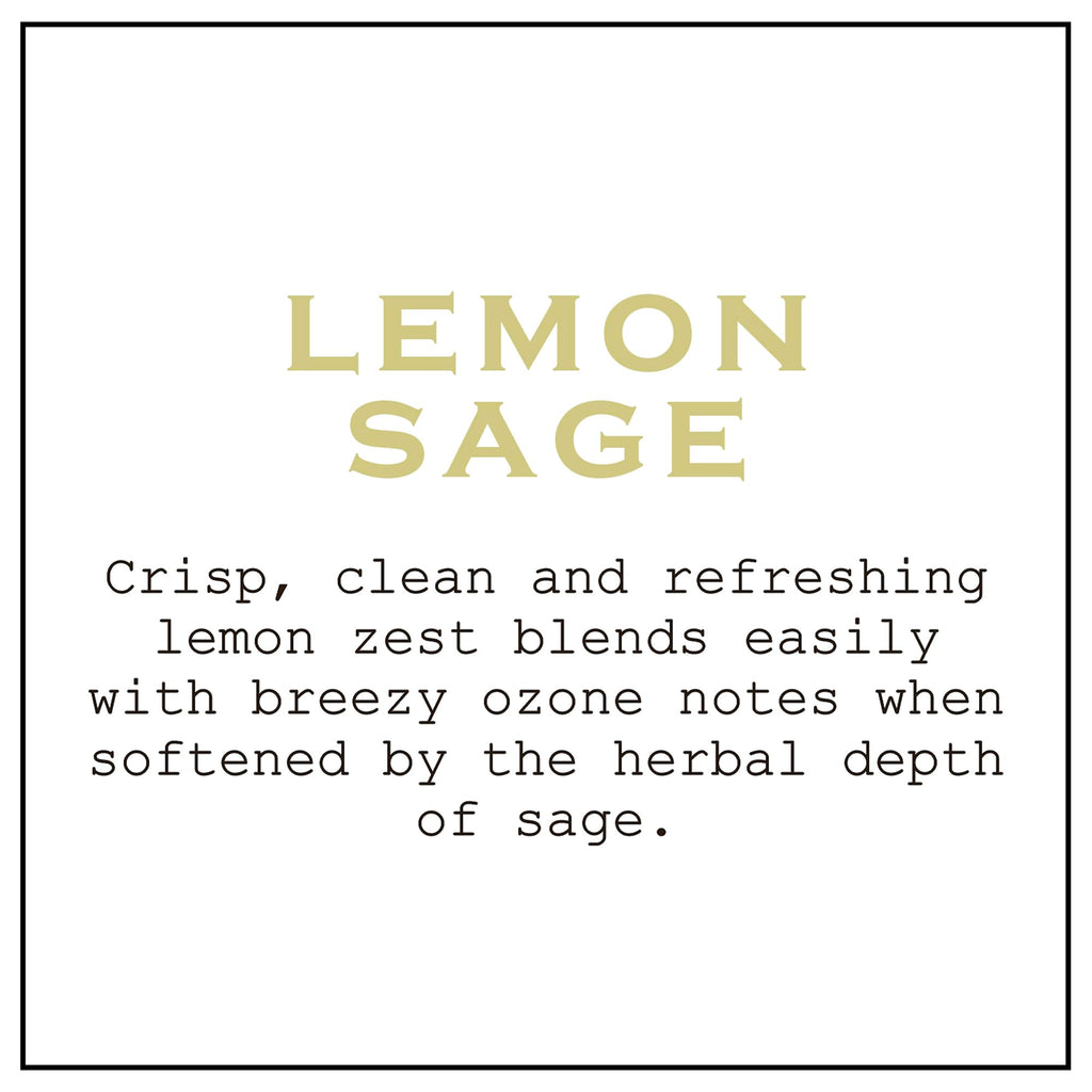 K. Hall Designs Lemon Sage Boxed Diffuser Kit, Citrus Scent with Herbaceous Notes, Reed Diffuser Set for Home, Long Lasting Arom