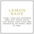 K. Hall Designs Lemon Sage Boxed Diffuser Kit, Citrus Scent with Herbaceous Notes, Reed Diffuser Set for Home, Long Lasting Arom