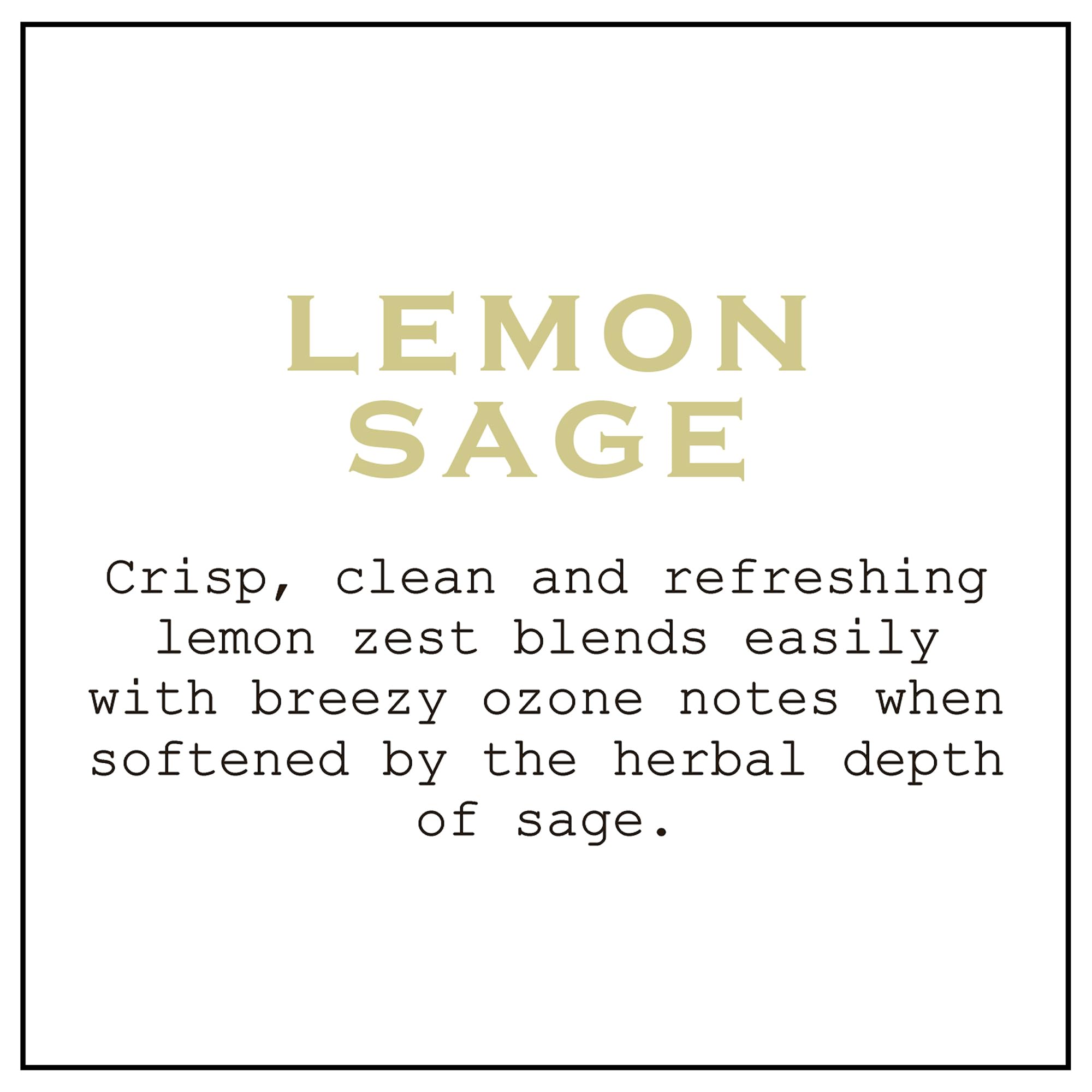 K. Hall Designs Lemon Sage Boxed Diffuser Kit, Citrus Scent with Herbaceous Notes, Reed Diffuser Set for Home, Long Lasting Arom