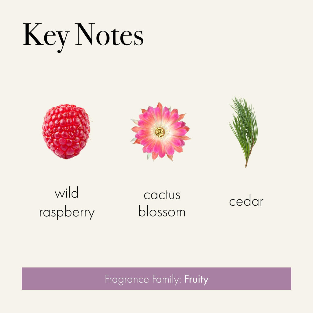 LAFCO New York Classic Reed Diffuser, Midnight Cactus - 6 oz - Up to 3 Months Fragrance Life - Reusable Glass Vessel - Natural W
